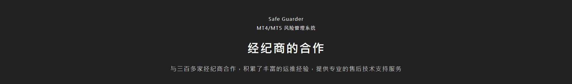 MT4/MT5 风险管理系统